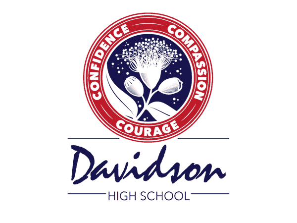 Davidson High School 4x3 Logo